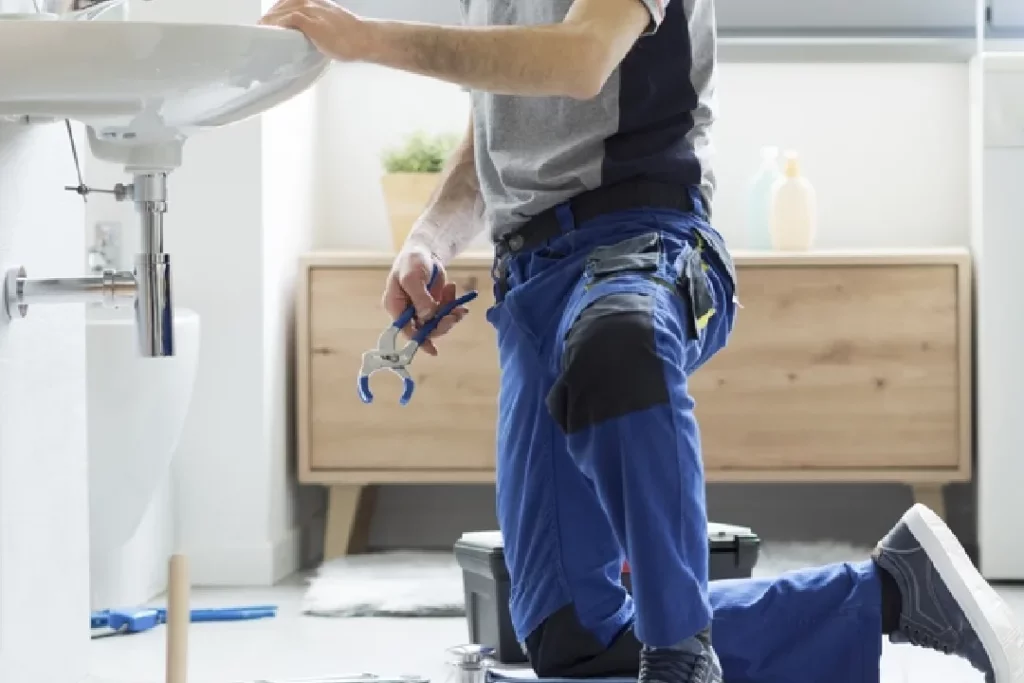Plumber Longueville