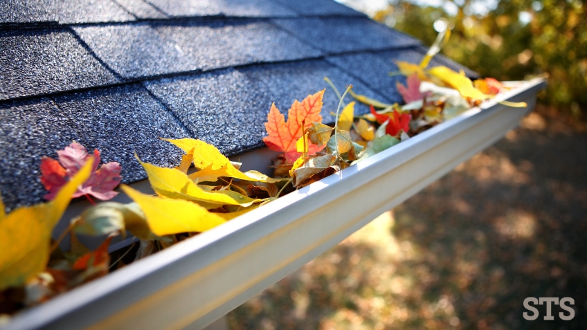 Roof plumber North Shore STS